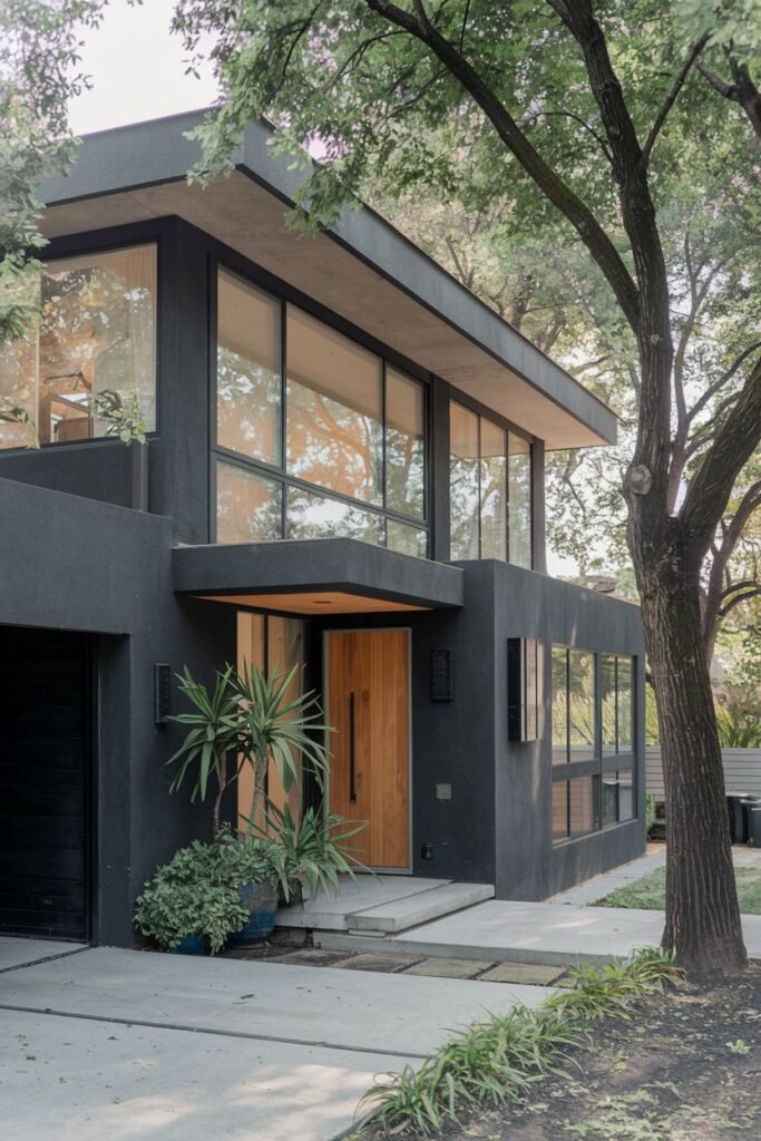 Modern Dark Color with Wood Accents and Ample Windows